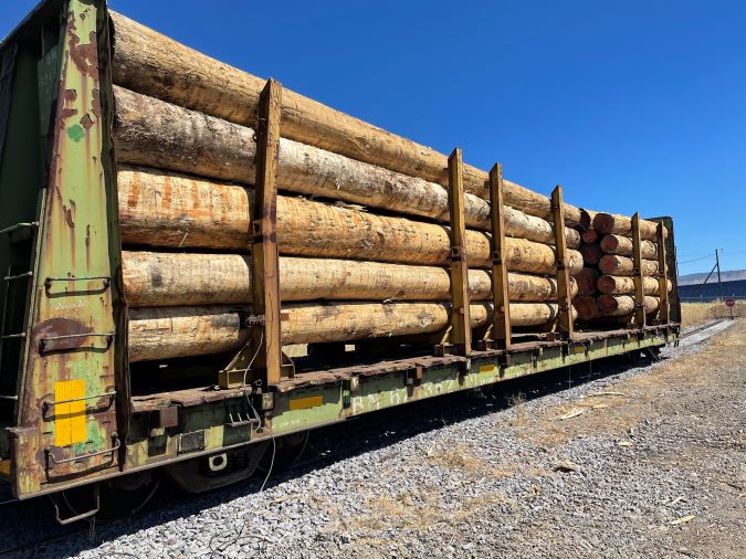 Raw timber awaiting shipment. 