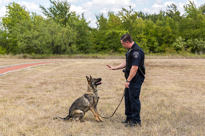In a demonstration of her obedience training, Valet listens to instruction from Officer Allen to stay in position.